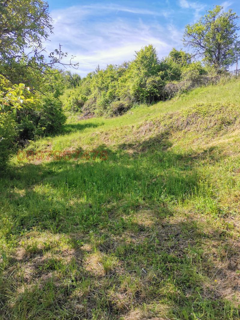 Продава ПАРЦЕЛ, с. Павелско, област Смолян, снимка 4 - Парцели - 52784797