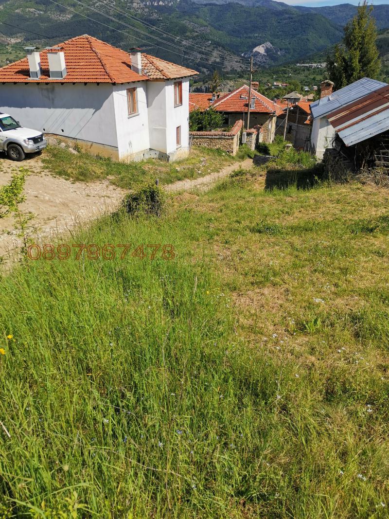 Продава ПАРЦЕЛ, с. Павелско, област Смолян, снимка 7 - Парцели - 52784797