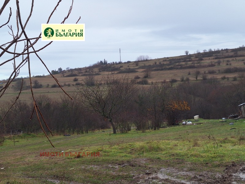 For Sale  Plot Varna , Konstantinovo , 2500 sq.m | 64501970 - image [3]