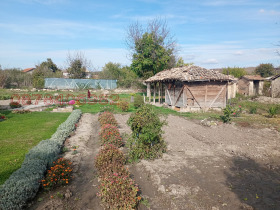 ������ ������� ������