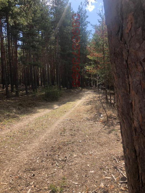 Продава ВИЛА, гр. Костандово, област Пазарджик, снимка 5 - Вили - 52752464