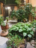 Продава ПАРЦЕЛ, гр. София, Център, снимка 2