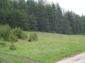 Продава ПАРЦЕЛ, гр. Батак, област Пазарджик, снимка 2
