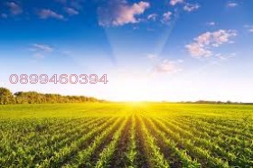 ������� ���������� ���� | Imot.bg � ����������� 1