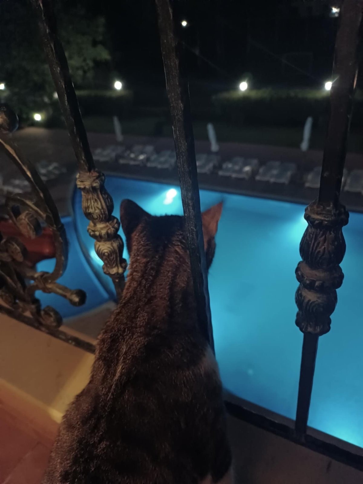 ������� 1-����� | Imot.bg � ����������� 12