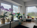 Продава КЪЩА, област Варна, с. Манастир • 105000 € • 28151116 — Holmes.bg
