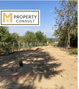 ������ ������� ����