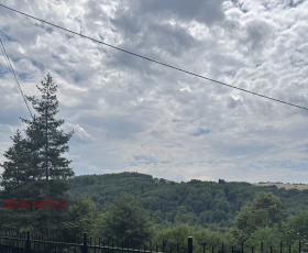 ����� ������� ������,���� �����, �. �������