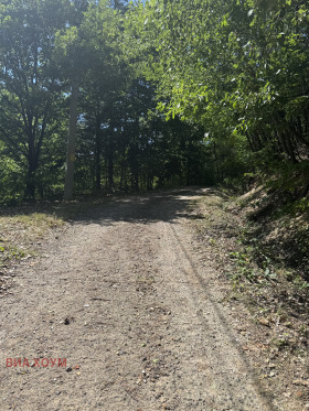 ������� ������ | Imot.bg � ����� ������ 3