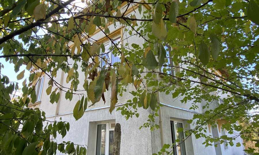 Продава КЪЩА, с. Цар-Петрово, област Видин, снимка 7 - Къщи - 56267942