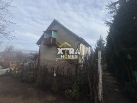 ����� ������� ����,���� ������, ������