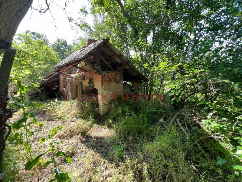 Продава  Къща област Пловдив , с. Драгойново , 50 кв.м | 15137490 - изображение [10]