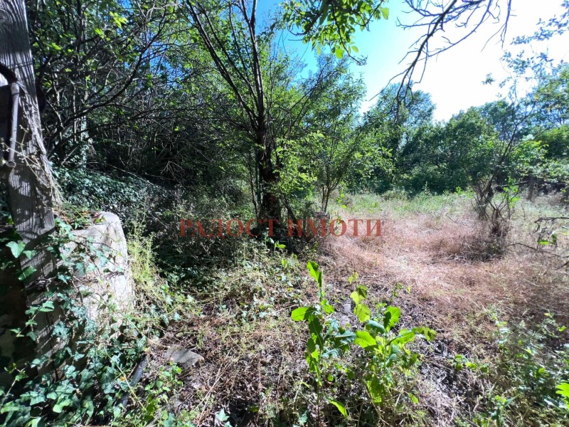Продава  Къща област Пловдив , с. Драгойново , 50 кв.м | 15137490 - изображение [9]