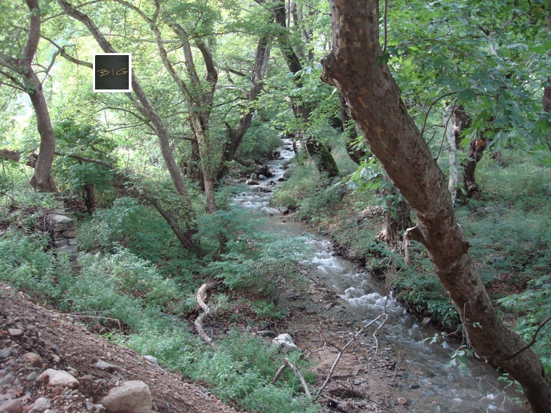 Продава ПАРЦЕЛ | Imot.bg — изображение 15