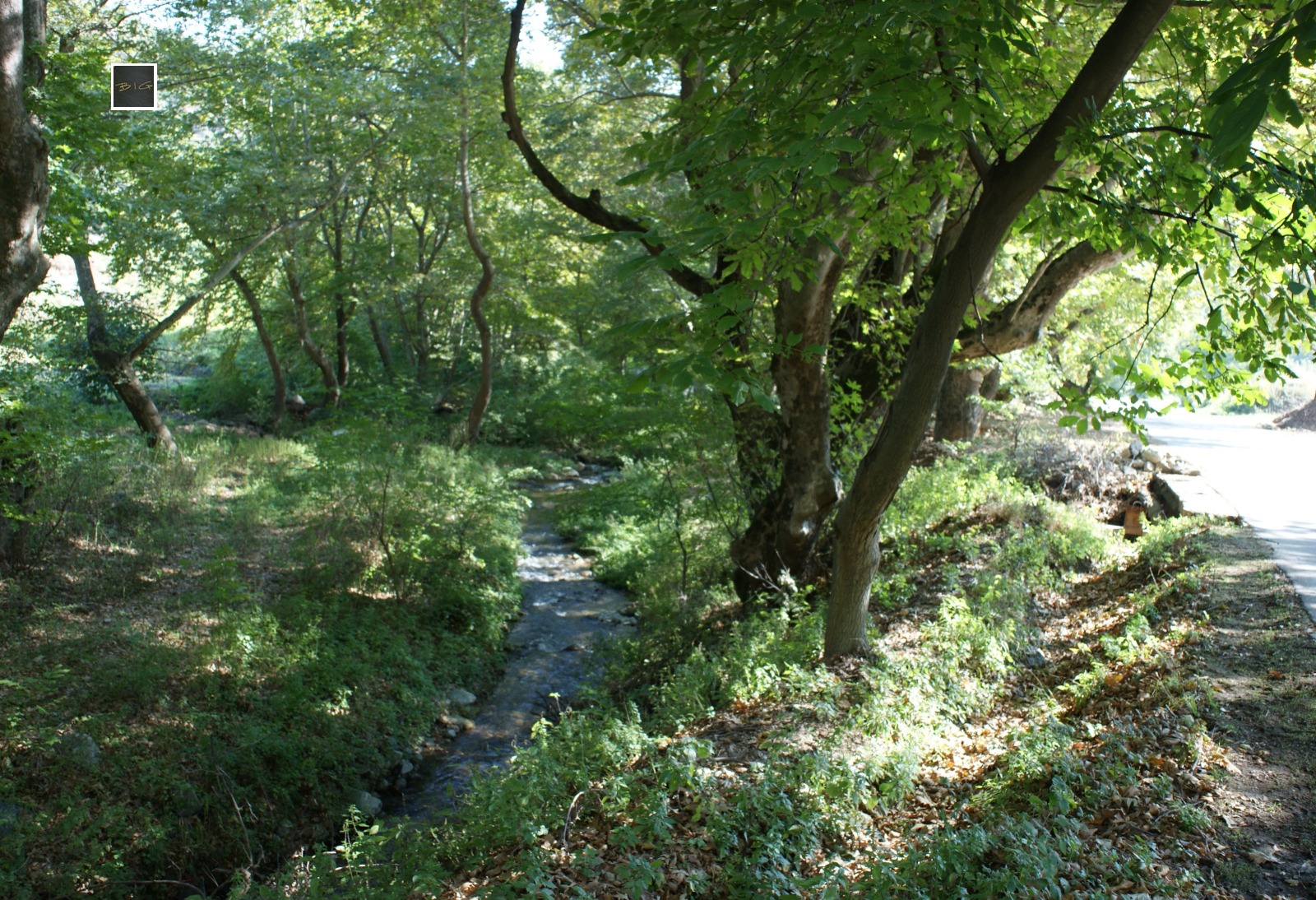 Продава ПАРЦЕЛ | Imot.bg — изображение 14