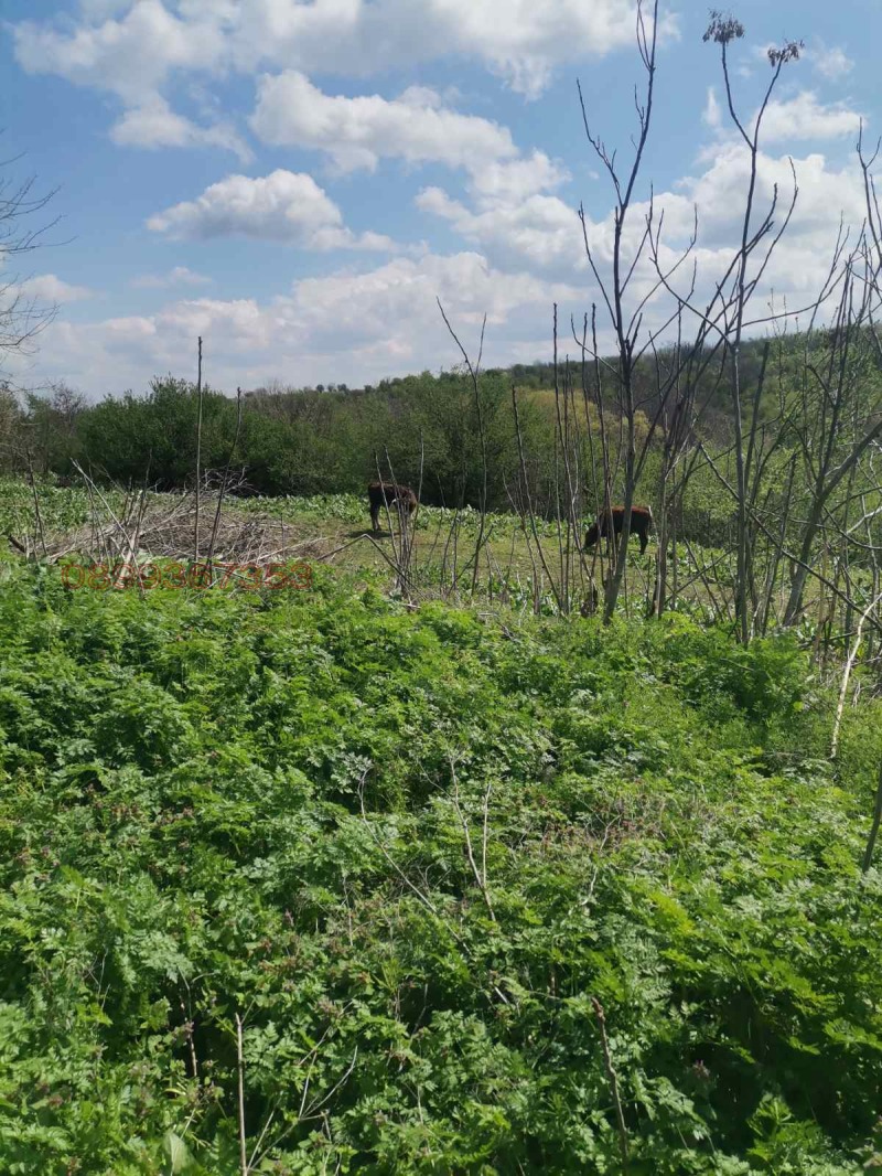 Til salgs  Plott region Pleven , Pelisjat , 1332 kvm | 70352529