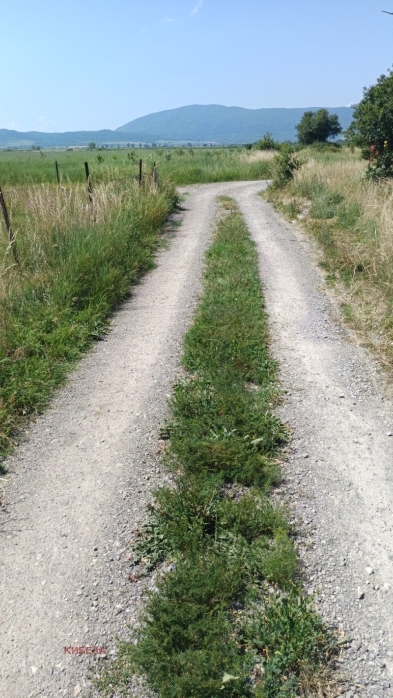 Till salu  Komplott region Pernik , Boboraci , 1262 kvm | 55304806 - bild [2]