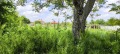 Продава ПАРЦЕЛ, с. Памукчии, област Стара Загора, снимка 4