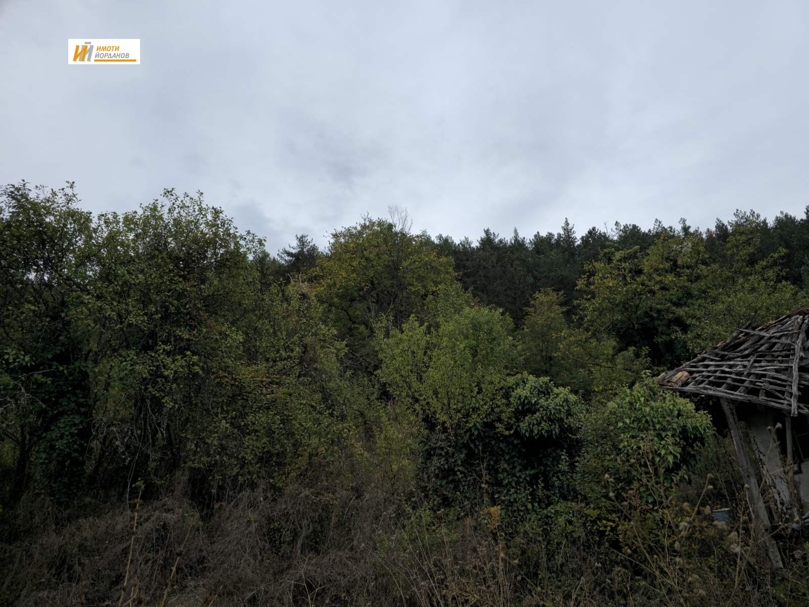 ������� ���� | Imot.bg � ����������� 11