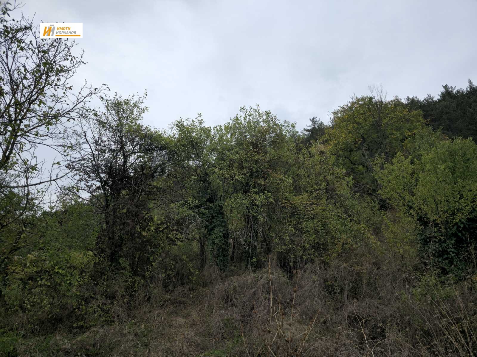 ������� ���� | Imot.bg � ����������� 10