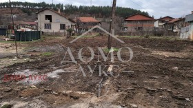 ����� ������� ������,��. �������, ������ �����������