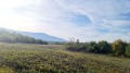 Продава ПАРЦЕЛ, гр. София, с. Герман, снимка 2