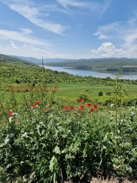 Trama Centar, Pernik 1