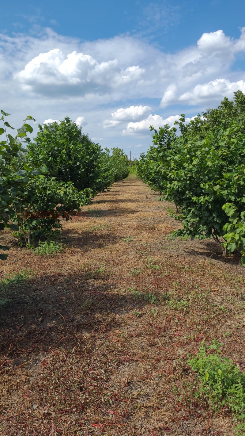 Продава КЪЩА, гр. Стралджа, област Ямбол, снимка 10 - Къщи - 53028553