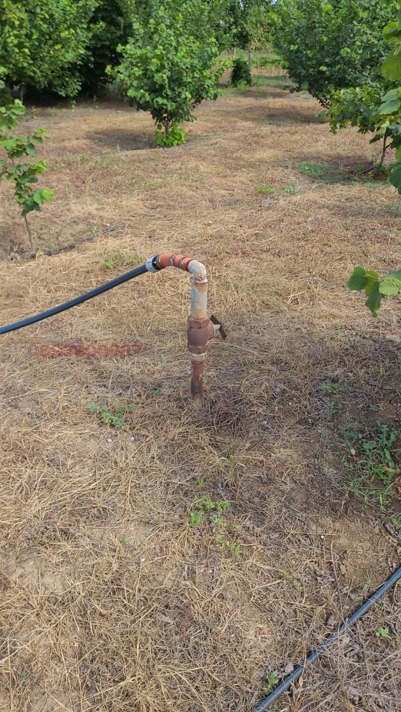 Продава КЪЩА, гр. Стралджа, област Ямбол, снимка 9 - Къщи - 53028553