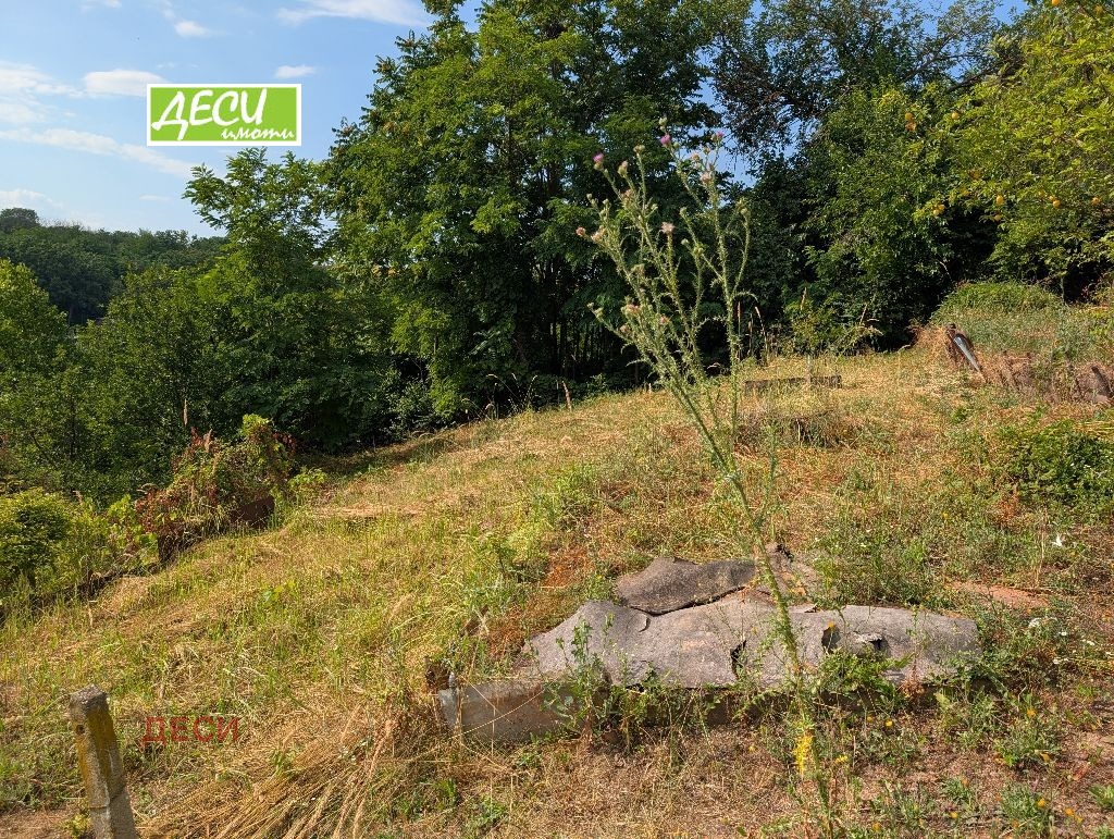 Продава ВИЛА, гр. Русе, в.з. Касева Чешма, снимка 13 - Вили - 55306022
