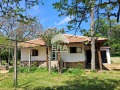 Продава КЪЩА, област Варна, с. Голица • 72000 € / 140819.76 лв. • 43581302 2