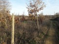 Продава ПАРЦЕЛ, област Бургас, гр. Обзор • 15500 € • 21589306 — Holmes.bg