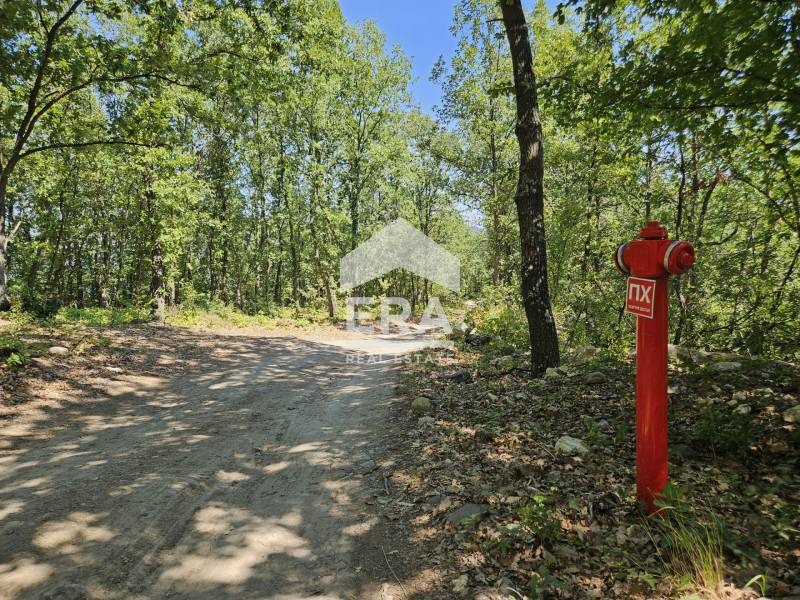 Продава ПАРЦЕЛ | Imot.bg — изображение 7