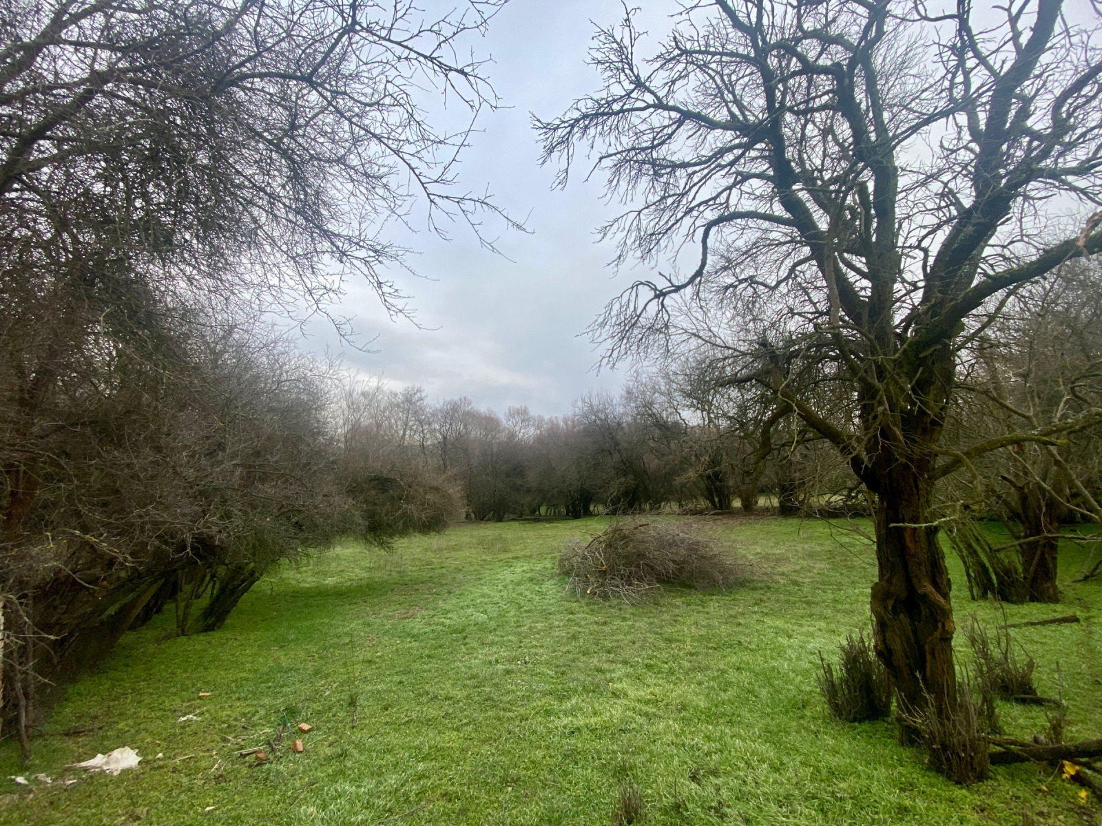 ������� ������ | Imot.bg � ����������� 4