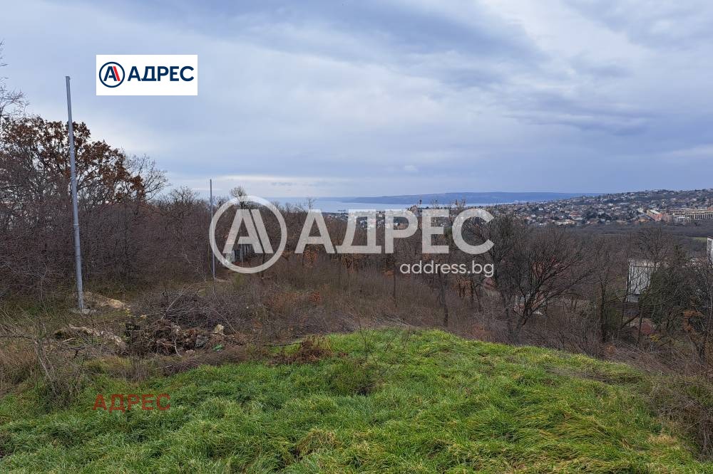 ������� ������ | Imot.bg � ����������� 1