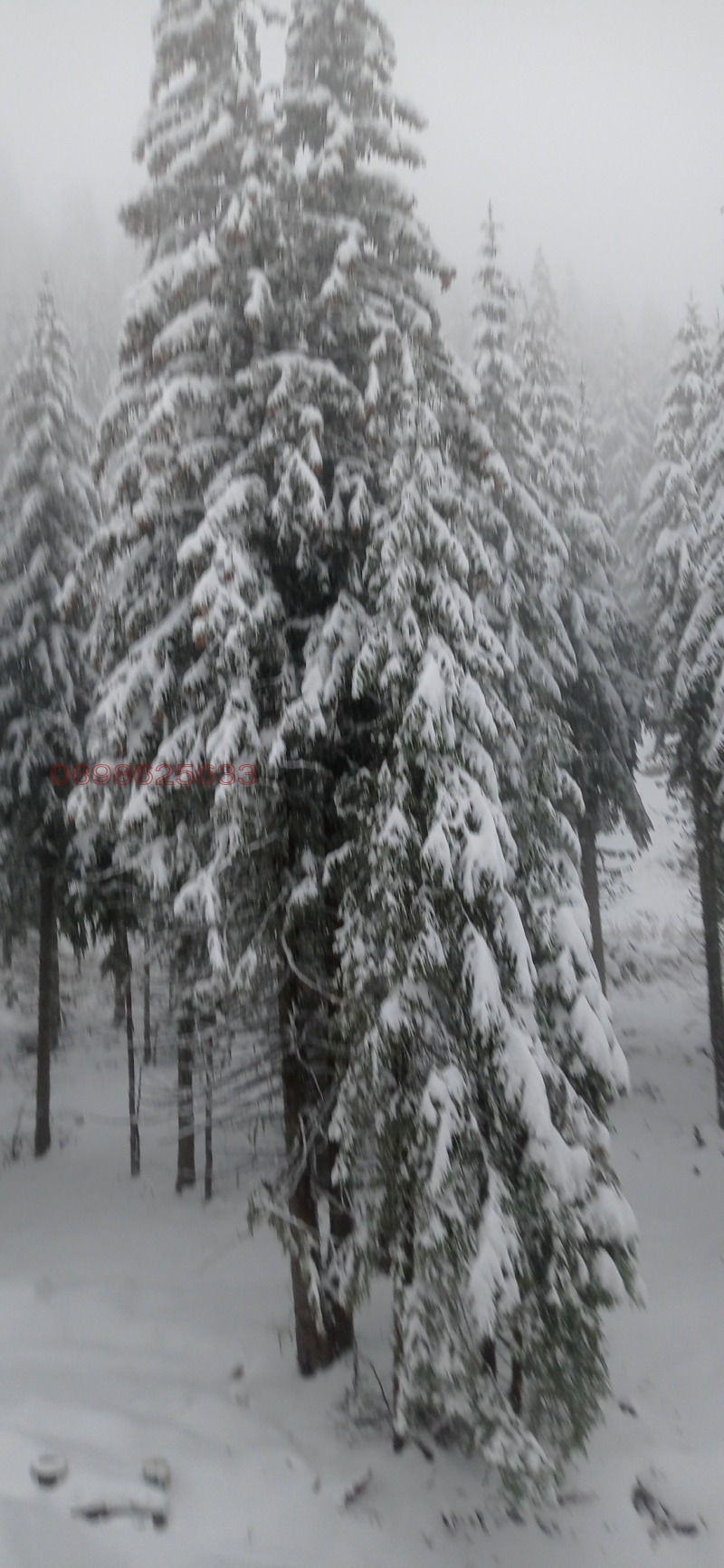 Продава 2-СТАЕН, к.к. Пампорово, област Смолян, снимка 8 - Апартаменти - 53041352