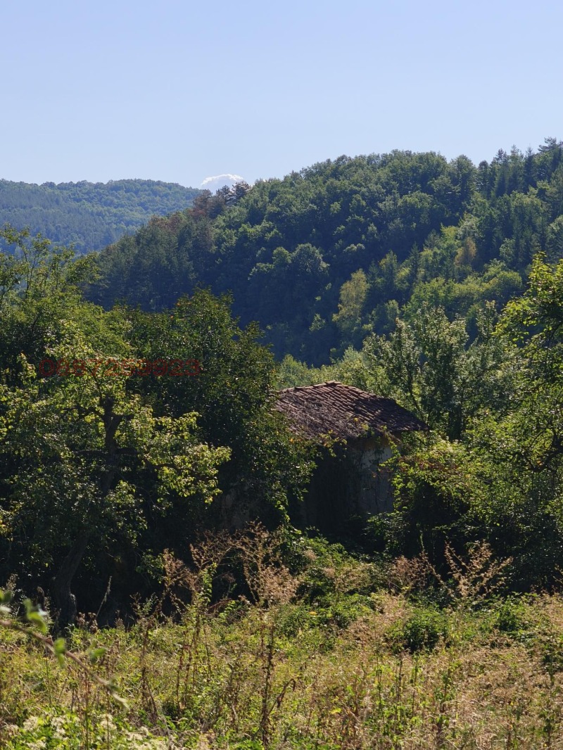 Продава ВИЛА, с. Згурово, област Кюстендил, снимка 2 - Вили - 52864759