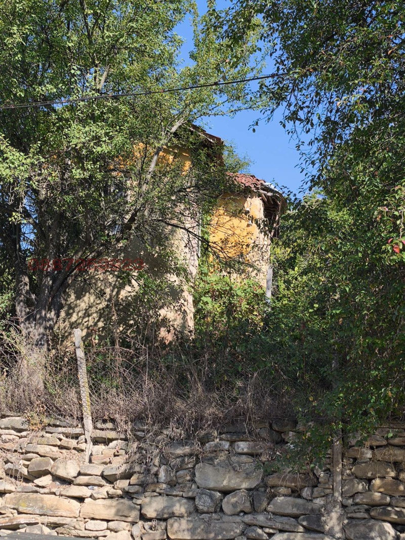 Продава ВИЛА, с. Згурово, област Кюстендил, снимка 4 - Вили - 52864759