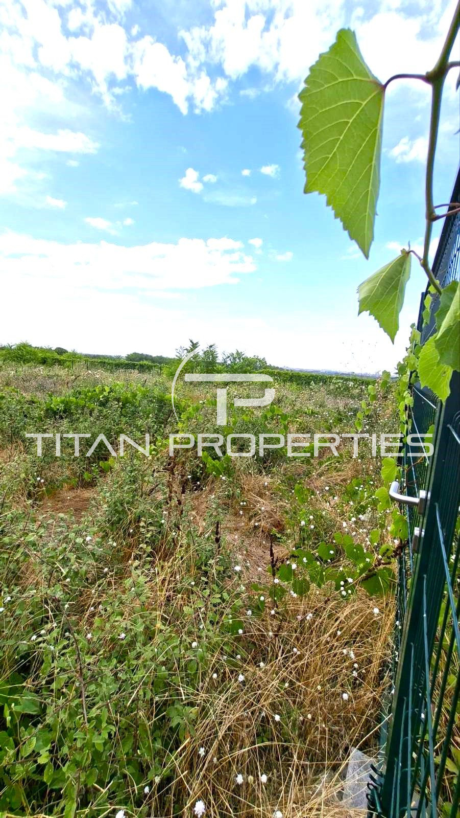 Продава ПАРЦЕЛ, с. Марково, област Пловдив, снимка 2 - Парцели - 55938841