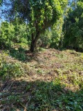 Продава  Вила област Кюстендил , с. Згурово , 30 кв.м | 68674796 - изображение [3]