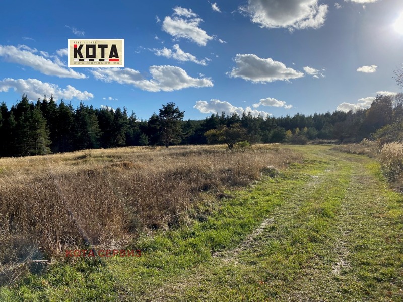 Продава ПАРЦЕЛ в област София, в.з.Ярема - 11000 кв.м / 700 000 € » 1 369 081.00 лв., КОТА СЕРВИЗ