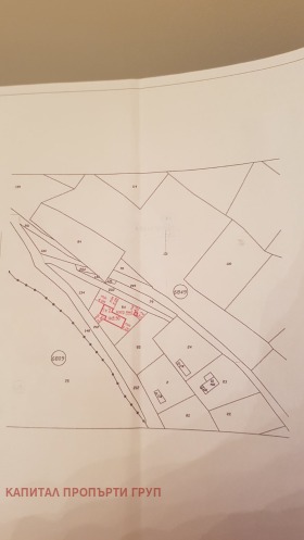 ����� ������� ������,���� �����, �. ��������