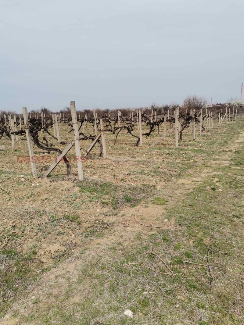 Til salg  Jord region Plovdiv , Kuklen , 3.201 dka | 56063072 - billede [3]