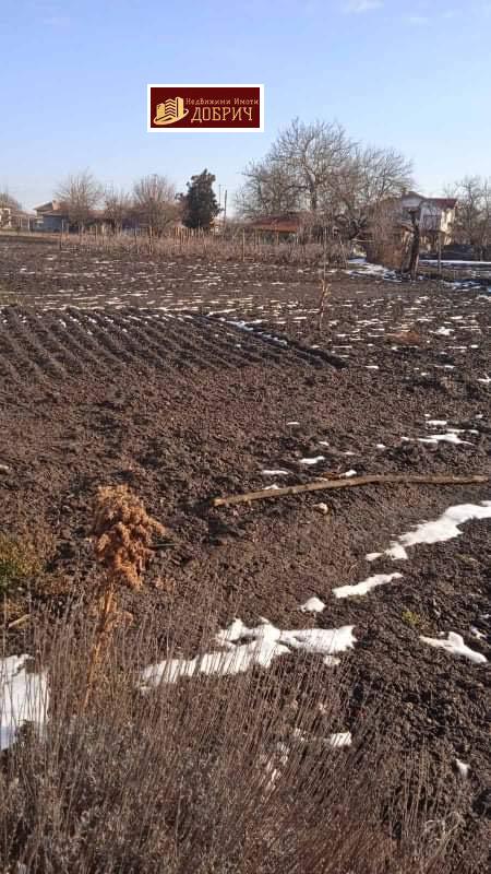 ������� ���� | Imot.bg � ����������� 3