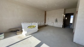 ����� ������� ����������,���� �����������, ����� ������