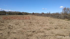 ������ ������� ������