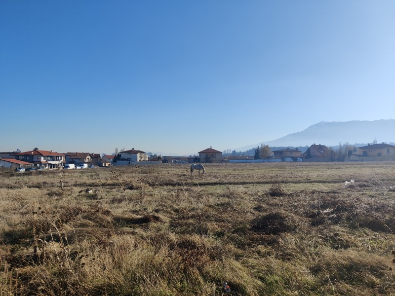 Na prodej  Spiknutí Sofia , Suchodol , 3600 m2 | 84831510 - obraz [5]