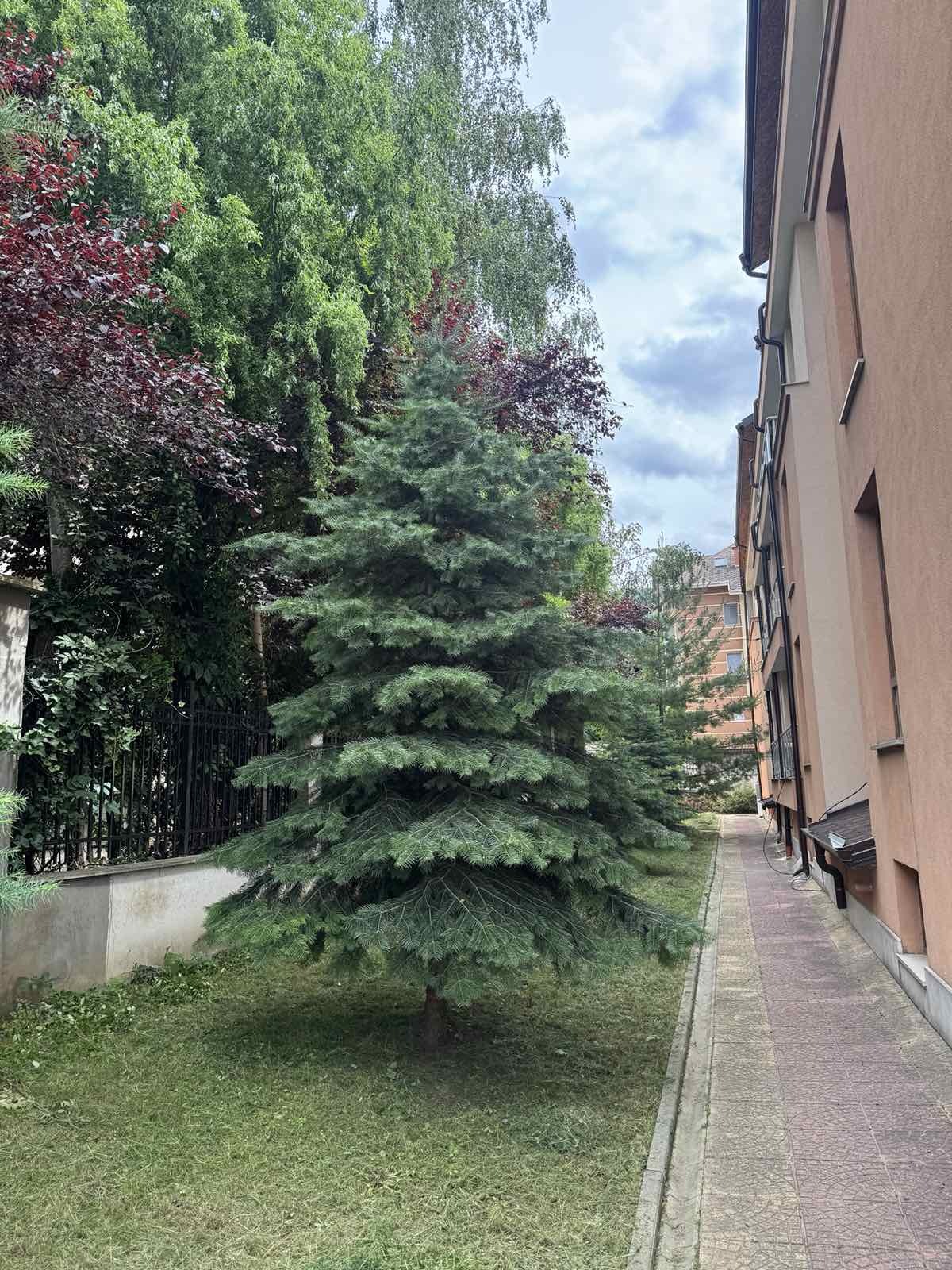 Продава 3-СТАЕН, гр. София, м-т Гърдова глава, снимка 14 - Апартаменти - 55098107