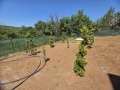Продава КЪЩА, с. Малка Верея, област Стара Загора, снимка 3