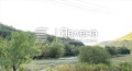 Продава ПАРЦЕЛ, област Ловеч, гр. Тетевен • 55000 € • 97241414 — Holmes.bg